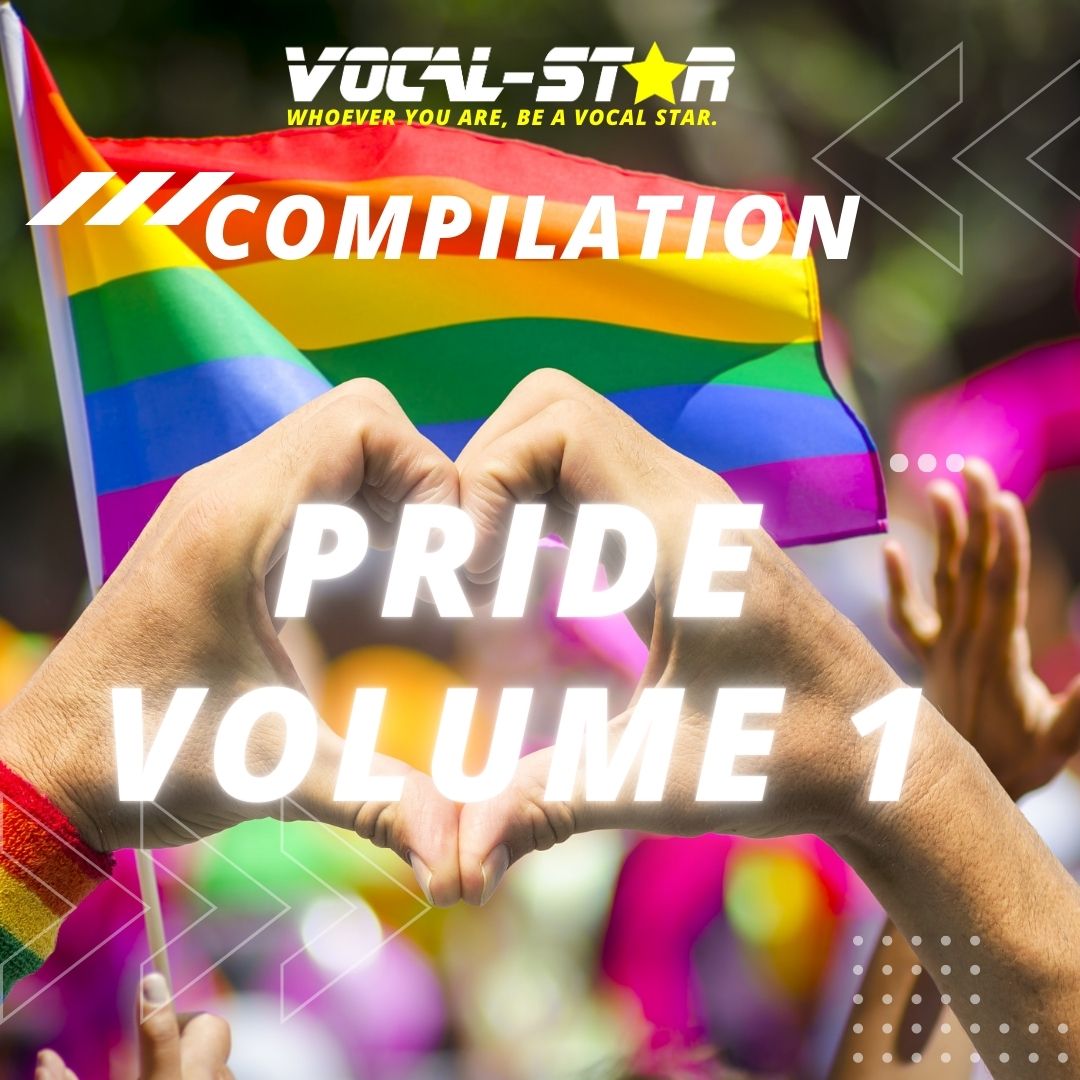 Vocal-Star Pride Hits Volume 1