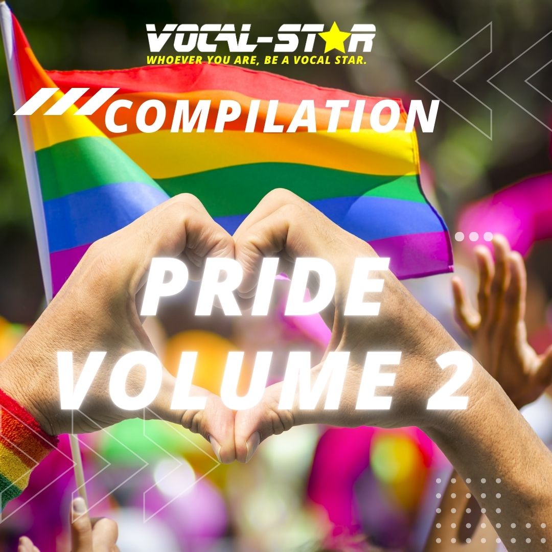 Vocal-Star Pride Hits Volume 2